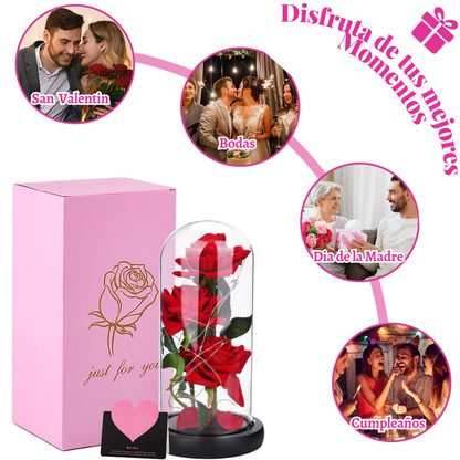 Rosa Eterna con Luz LED en Cúpula de Cristal